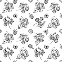 Raspberry berry with leaves illustrations, vector seamless pattern design, engraving style, floral elements for fabric, wallpaper