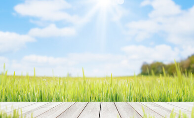 Wooden walkway in the grass and sunlight