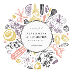 Aromatic plants wreath. Perfumery and cosmetics ingredients banner. Flower, fruit, spice, herb sketches. Hand drawn vector illustration. Packaging design template. - obrazy, fototapety, plakaty