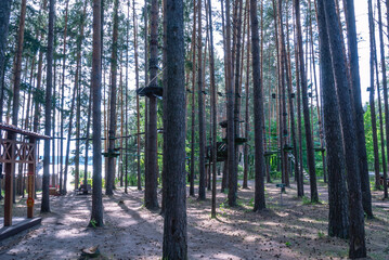 A rope park for children among the trees in summer. The entertainment complex is at a height. An attraction for outdoor activities. Entertainment for children and adults in the forest