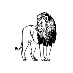 black and white sketch of a lion with a transparent background