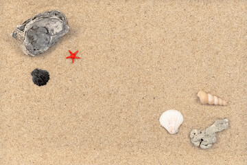 Fototapeta na wymiar Vue d'une plage de sable fin avec des galets et des coquillages pour création d'arrière- plan.