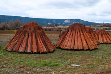 Wicker plantation fields in Cañamares, Cuenca