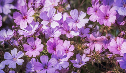 a bunch of purple flowers that are blooming in the sun and on the ground in the grass, generative ai