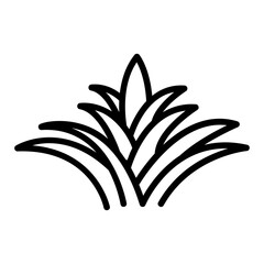 bromeliad outline icon