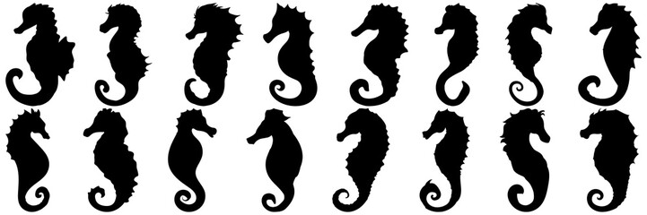 Seahorse silhouettes set, large pack of vector silhouette design, isolated white background - obrazy, fototapety, plakaty
