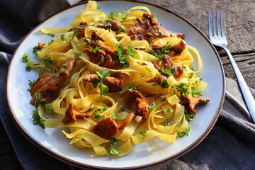 Tagliatelle pasta with fried in butter chanterelle mushrooms with garlic and finely chopped parsley on checkered napkin on a rustic background