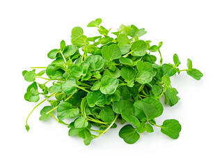 Obraz premium Watercress vegetable isolated on white background. Minimalist style. 