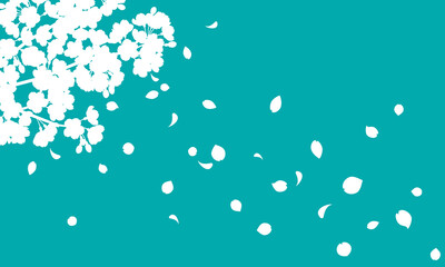 Vector illustration of cherry blossom silhouette background with falling petals (green)