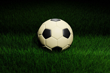 Fototapeta premium Soccer Ball on Grass
