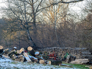 Frisch gesägtes Brennholz