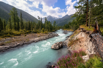 Katun River in the Altai Mountains
