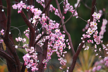 Colorful replicas of cherry blossoms in the garden