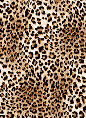 Seamless leopard texture, leopard fur, animal pattern