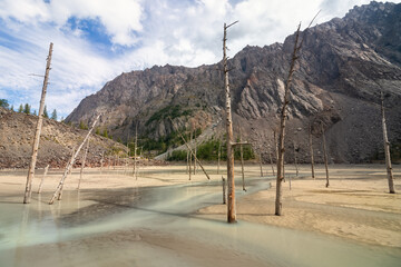 Maashay River Valley in the Altai Mountains