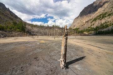 Dead Lake Maashey in the Altai Mountains