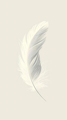 Floating White Feather on white background