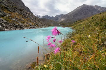 Karakabak lakes in the Altai Mountains