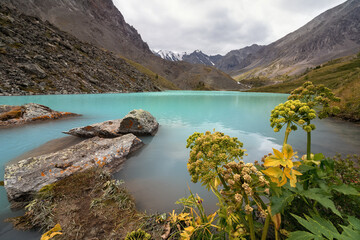 Karakabak lakes in the Altai Mountains