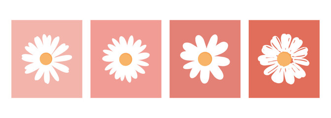 Hand drawn daisy chamomile flower on pink and red retro color backgrounds vector illustration. Cute wall art decoration.