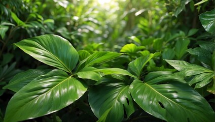 Tropical green leaves background, vibrant, Colorful gradient, hd, 4k, high-quality, highly detailed, photorealistic, RAW, high quality, dynamic lighting, sharp focus, ultra realistic. generative AI