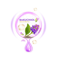 concept of Bakuchio Serum Natural Retinol for Skin Care Cosmetic poster, banner design