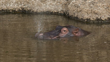 Fototapeta premium 2023