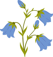 Nature flower bluebell flower, floral leaf plant