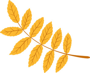 Yellow leaves branch isolated spring decor element