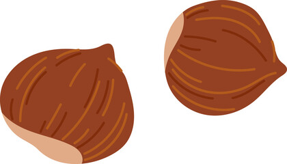 Filbert nut whole isolated hazelnut cobnut snack