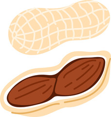 Goober nut in husk, groundnut or peanut