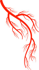 Fototapeta premium Blood vessel red vein artery, eyeball capillary