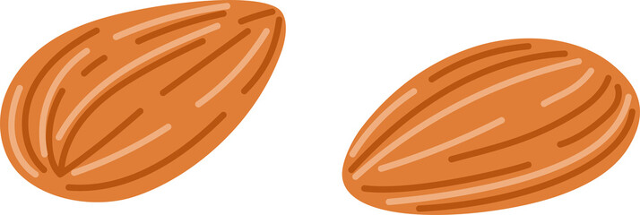 Superfood peeled argan nut isolated cartoon food