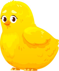 Newborn little cute chick, small baby bird chicken