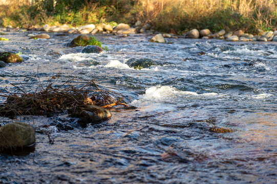 imagen de un río con el agua chocando contra las rocas 