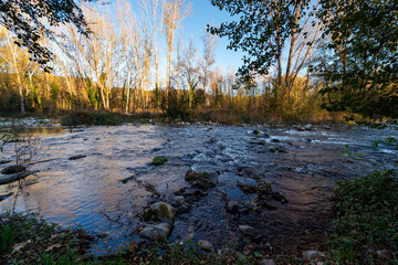 imagen del río Ter entre los árboles 