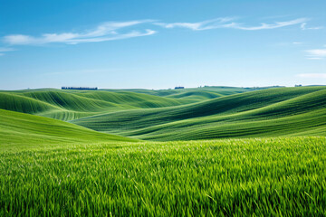 Obraz premium Vibrant green wheat fields under a dynamic blue sky
