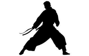 Karate fighter in kimono, aikido vector silhouette, Well known martial arts, Martial exercise
