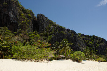 Fototapeta na wymiar Paradise beach in Philippines