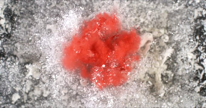 Super slow motion close up of Japan flag burst of colorful powder with flying particles isolated on black background at 1000 fps.