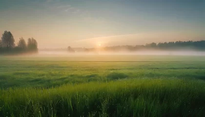 Fotobehang Green rice fields natural landscapes with clear sky. Fog in the valley. Sunlight entering the valley and on the mountains. Beautiful summer morning.ai generated © KengVit14