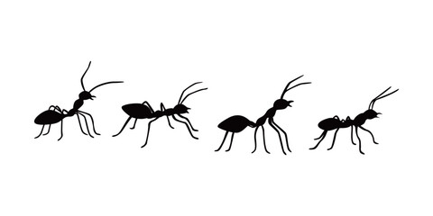 ant silhouette design. small animal sign and symbol. - obrazy, fototapety, plakaty