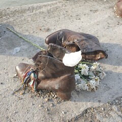 Shoes on the danube bank