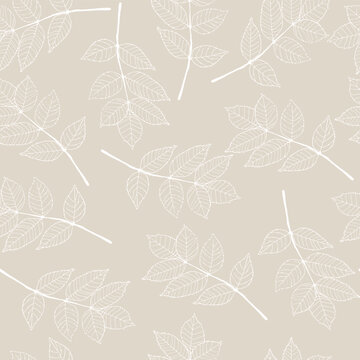 Delicate White Leaves