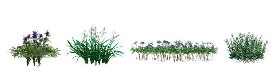 3d rendering shrub and flower  isolated cut background
