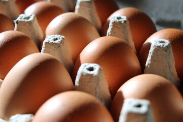 Brown chicken eggs in cardboard egg box, turned at an angle towards the viewer, close up side view...