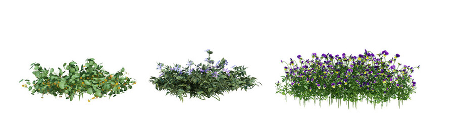 3d rendering shrub and flower  isolated cut background
