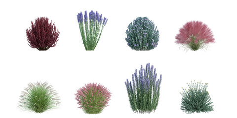 3d rendering shrub and flower  isolated cut background
