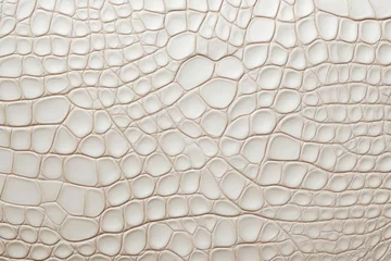 Zelfklevend Fotobehang White Crocodile Bone Texture Background © darshika