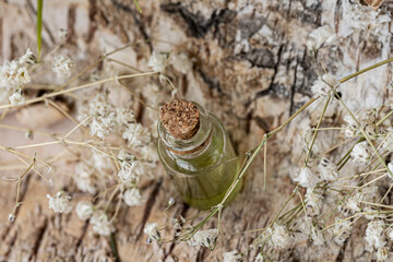 Close up of a glass bottle with green serum, oil, toner, herbs on natural wooden baxckground. Organic skincare products